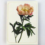 NEW - Canonbury Press greeting cards