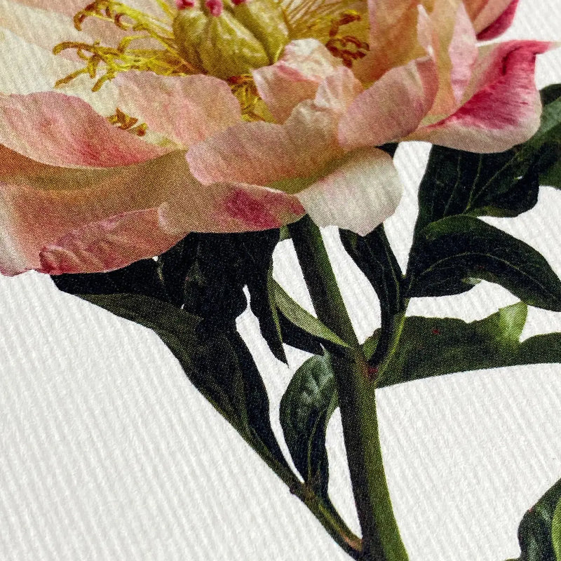 NEW - Canonbury Press greeting cards