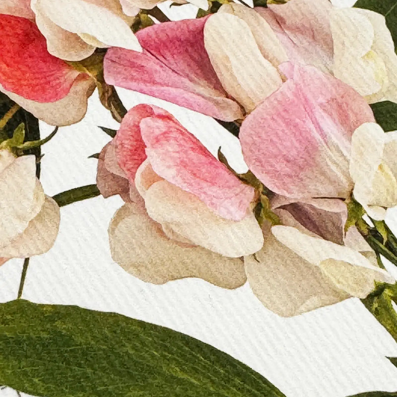 NEW - Canonbury Press greeting cards