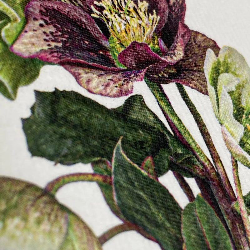 NEW - Canonbury Press greeting cards