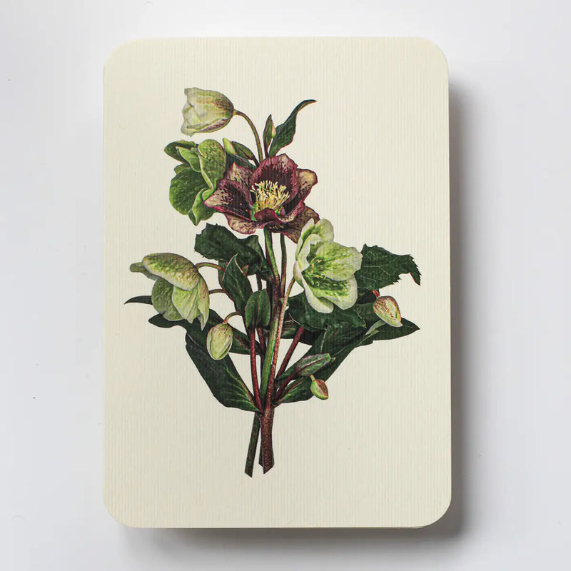 NEW - Canonbury Press greeting cards