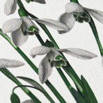 NEW - Canonbury Press greeting cards