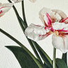 NEW - Canonbury Press greeting cards