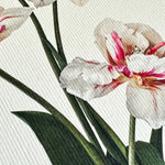 NEW - Canonbury Press greeting cards