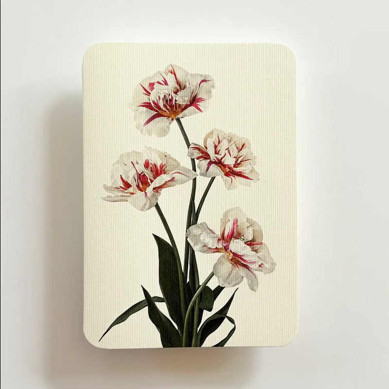NEW - Canonbury Press greeting cards