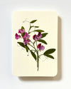 NEW - Canonbury Press greeting cards