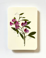 NEW - Canonbury Press greeting cards