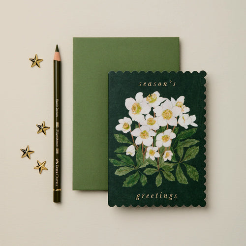 Wanderlust greeting cards