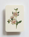 NEW - Canonbury Press greeting cards