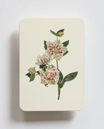 NEW - Canonbury Press greeting cards