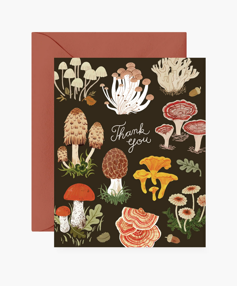 Botanica Paper Co. greeting cards