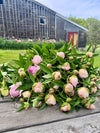 Peonies Season: 1 week subscription with Whimsy Floral Studio