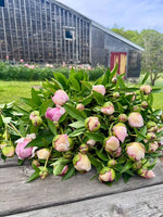 Peonies Season: 1 week subscription with Whimsy Floral Studio