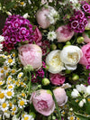 Peonies Season: 1 week subscription with Whimsy Floral Studio